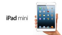 Apple iPad mini 16GB Wi-Fi 202//114